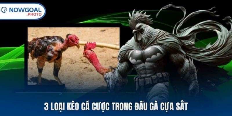 3 loại kèo cá cược trong đấu gà cựa sắt